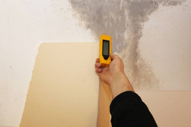 Dana, NC Mold Removal Company