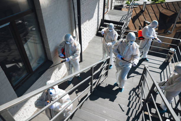 Best Biohazard Mold Removal  in Dana, NC