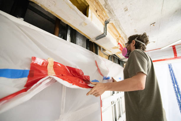  Dana, NC Mold Removal Pros