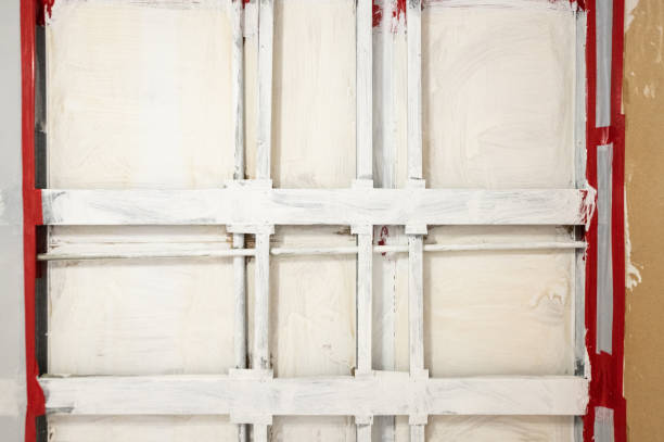 Best Mold Prevention Services  in Dana, NC