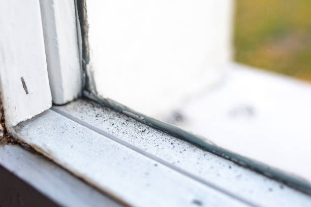 Mold Remediation for Rental Properties in Dana, NC