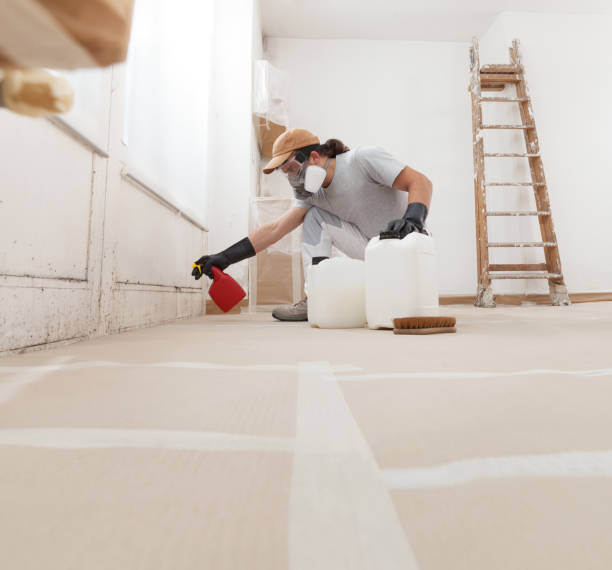 Best Environmental Consulting for Mold Prevention  in Dana, NC